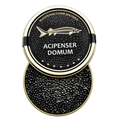 ACIPENSER DOMUM Premium Osetra Sturgeon Black Caviar - 1.76 oz (50g) - Malossol Ossetra Black Roe.