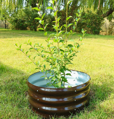 Large Round Metal Raised Garden Bed Kit - Durable Planter Box for Planting Flowers, Vegetables, and Herbs - Easy Assembly, Space-Saving, and Rust-Resistant