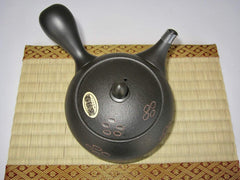 Tokoname Japanese Teapot Set