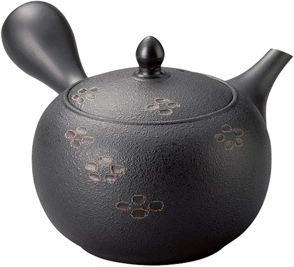 Tokoname Japanese Teapot Set