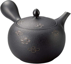 Tokoname Japanese Teapot Set