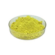 Sophora Japonica Extract 100% Natural Herbs for Medicine Plant Extract