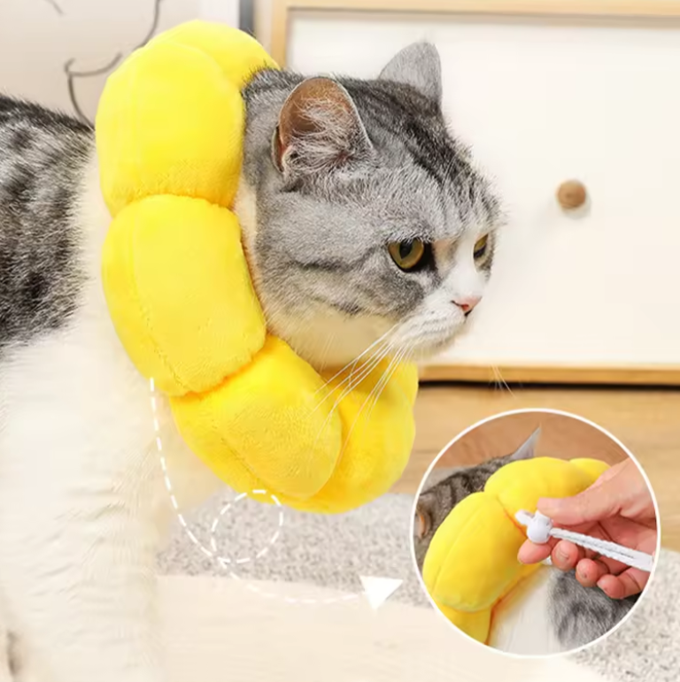 Adorable Sunflower Neck Cat Cones: Comfortable and Cute