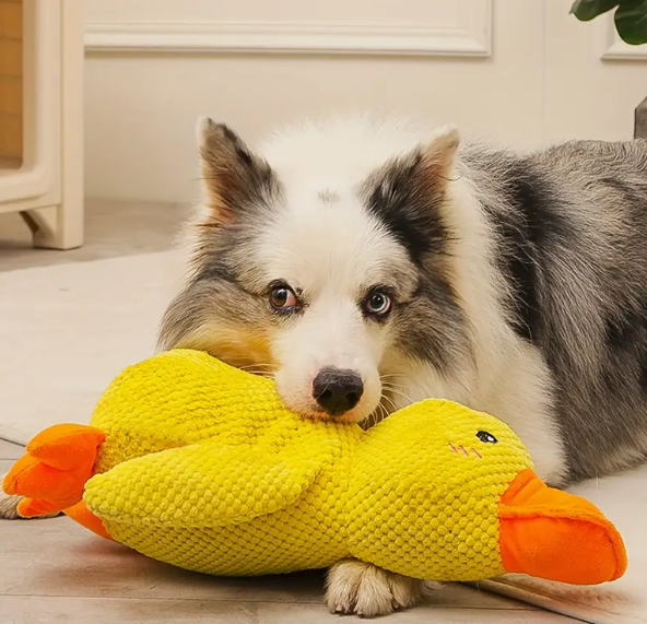 Duck-Shaped Dental Care Toy - Soft Plush, Squeaky, Durable Chew Toy for Dogs - Interactive Play and Teeth Grinding Aid for Puppies to Adults