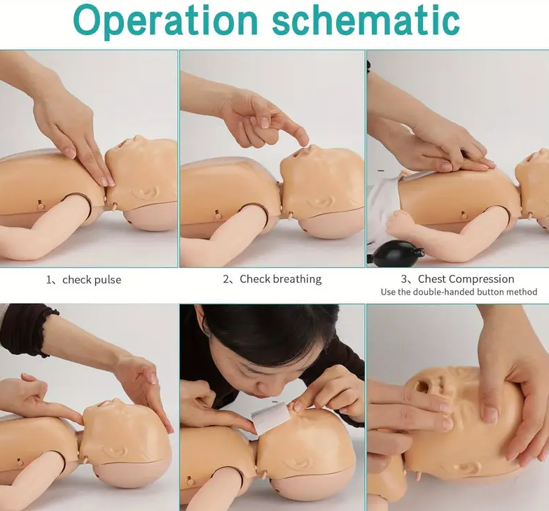 Professional Baby CPR Manikin for First Aid Training Patient Education Teaching CPR Simulator Training Model Kit…